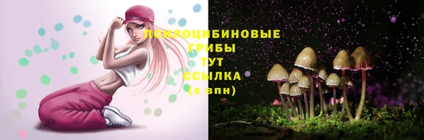 apvp Алексин