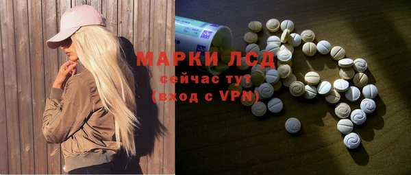 apvp Алзамай