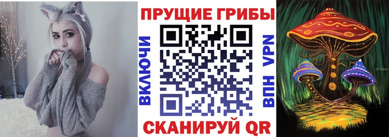 Галлюциногенные грибы Magic Shrooms  где купить   Темрюк 